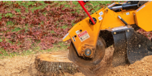quick stump removal Adelaide Hills