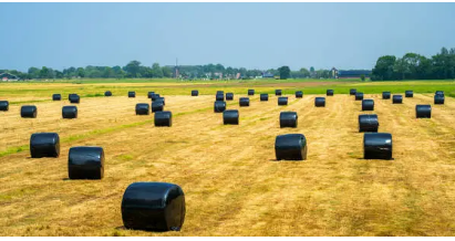 bale wrap