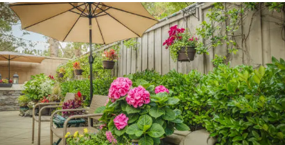 outdoor umbrella